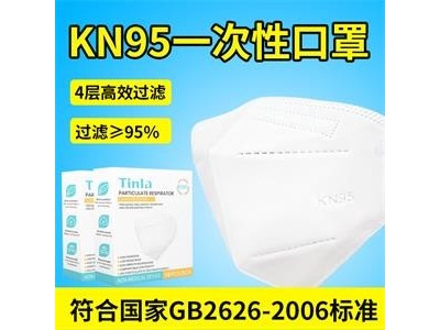 天蕾KN95防颗粒物呼吸器